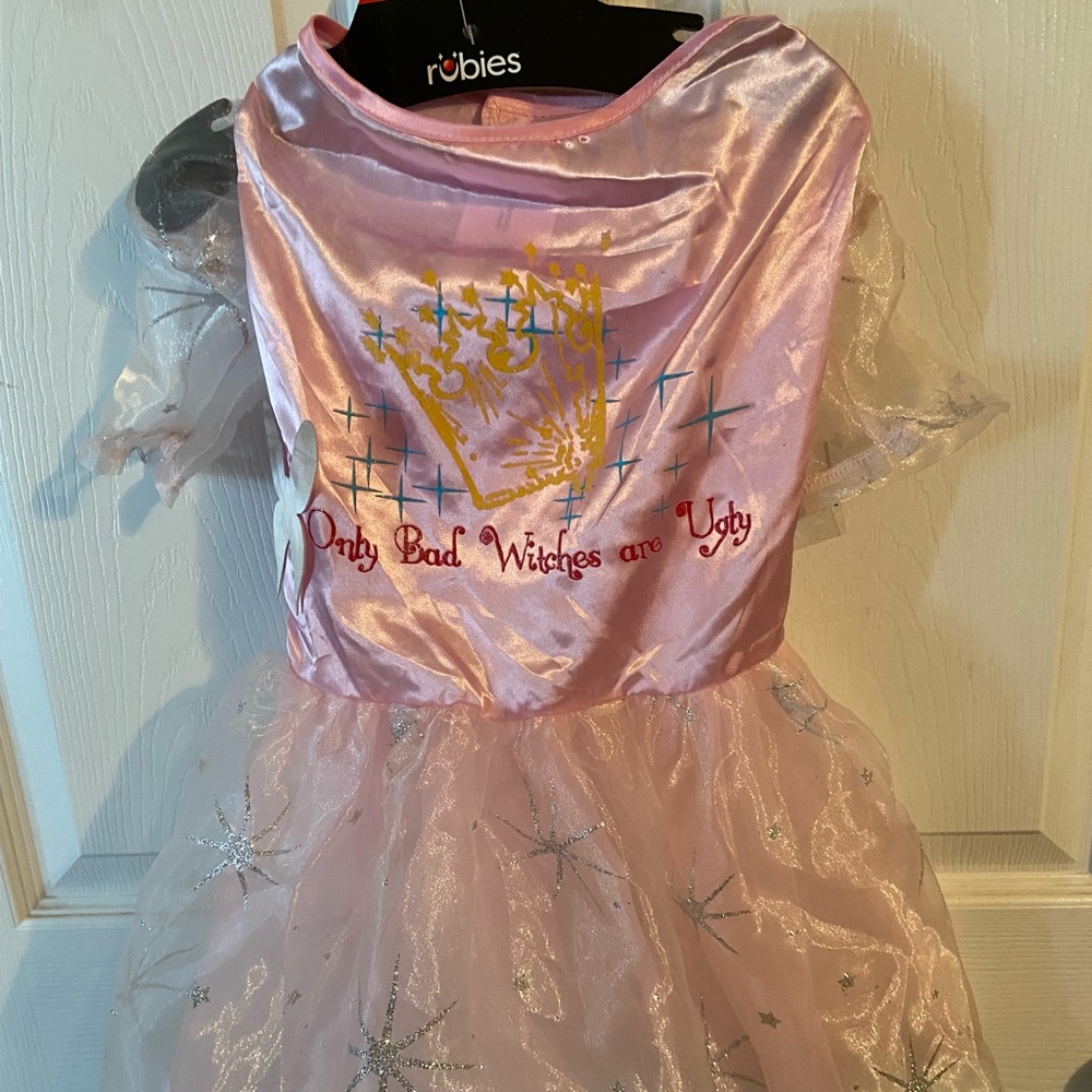 Dog-Pink Princess Dress/ Costume -Size Large( see picture)